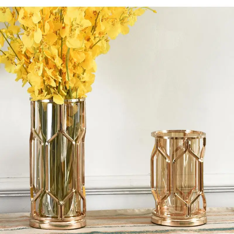 Гидропонное растение, простая золотая стеклянная ваза, геометрическая железная бутылка, пробирка, металлический кронштейн для растений, аксессуары для украшения дома
