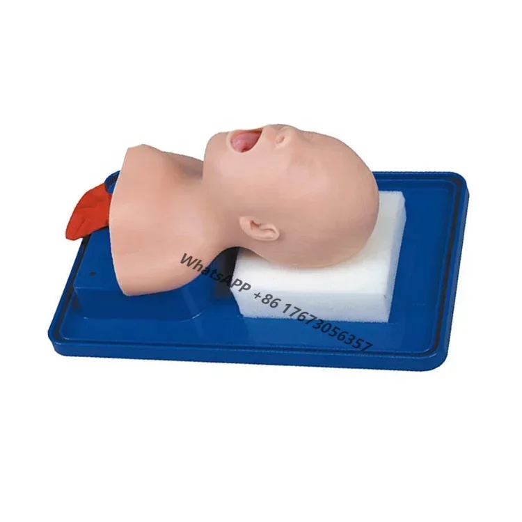 Манекен для интубации трахеи новорожденного Advanced Practice SC-J2A